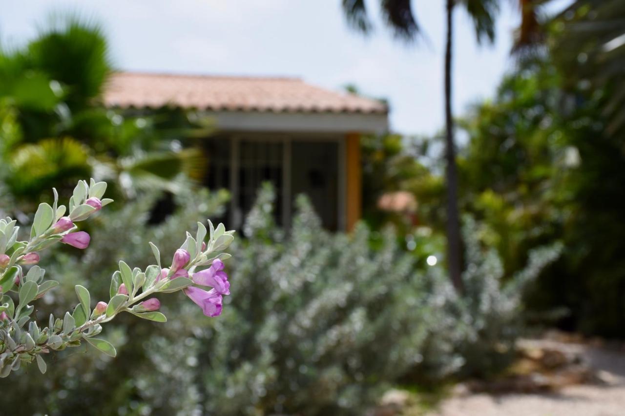 Seru Coral Apartment Willemstad Exterior photo